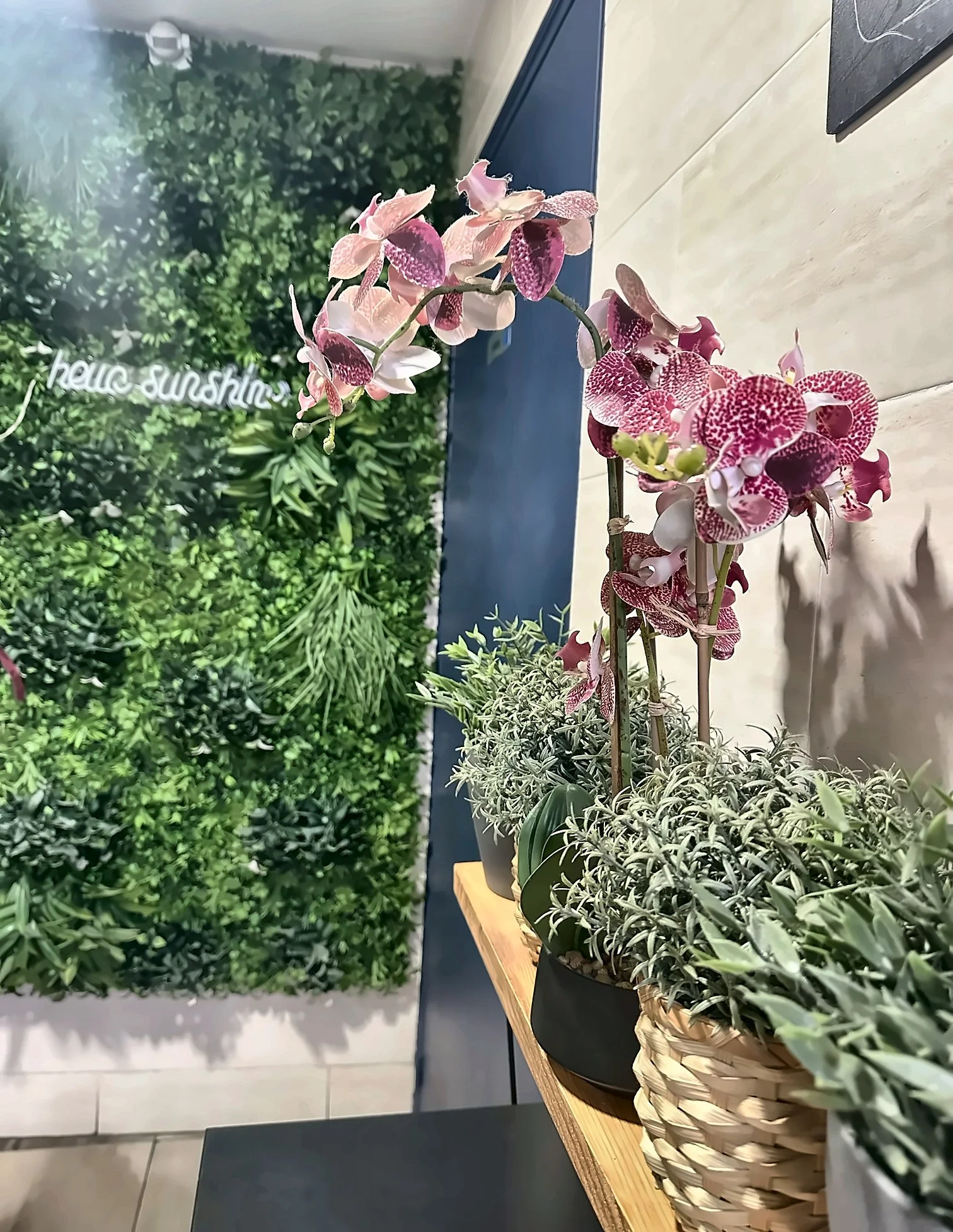 Orchidées devant le mur végétal de la salle climatisée de Kebab Istanbul, Paris 8e